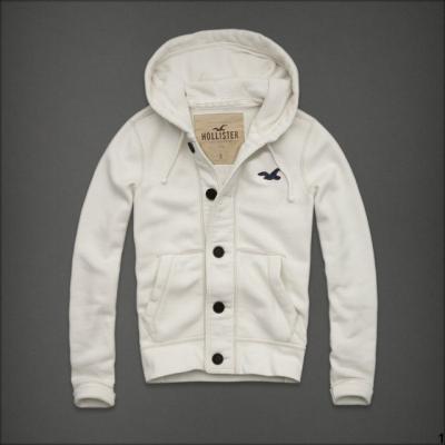 Hollister Men Hoodies-108